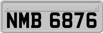 NMB6876