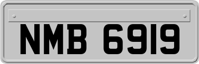 NMB6919