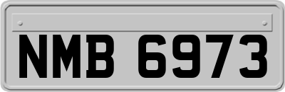 NMB6973