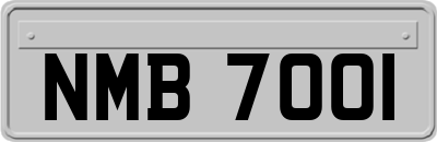 NMB7001