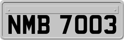 NMB7003