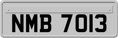 NMB7013