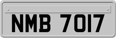 NMB7017