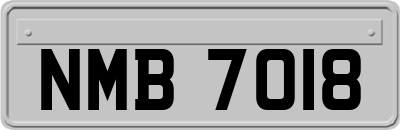 NMB7018