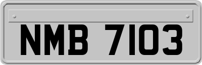 NMB7103