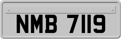 NMB7119
