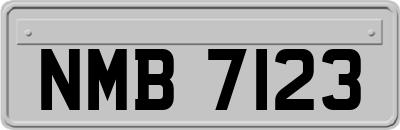 NMB7123