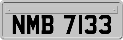 NMB7133