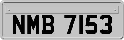 NMB7153