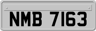 NMB7163