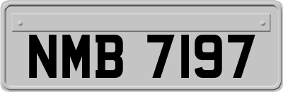 NMB7197