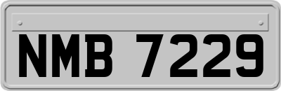 NMB7229