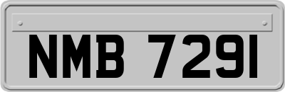 NMB7291