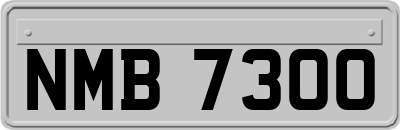 NMB7300