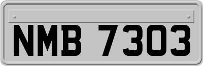 NMB7303