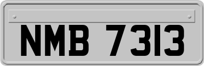 NMB7313