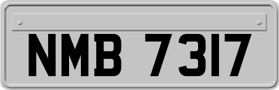 NMB7317