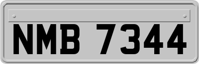 NMB7344