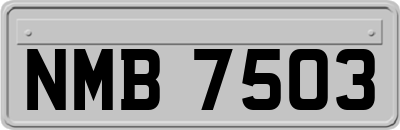NMB7503