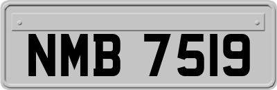 NMB7519