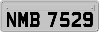 NMB7529