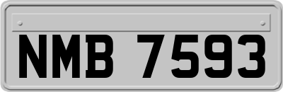 NMB7593
