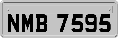 NMB7595