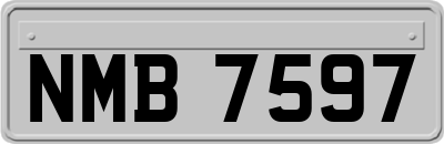 NMB7597