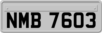 NMB7603