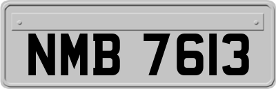 NMB7613