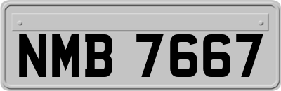 NMB7667