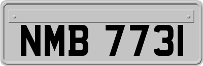 NMB7731