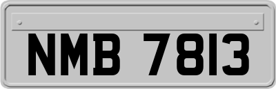NMB7813