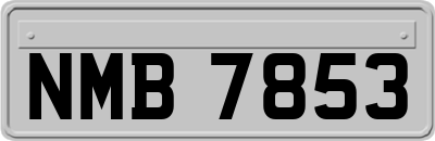 NMB7853