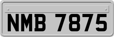 NMB7875