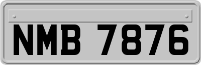 NMB7876