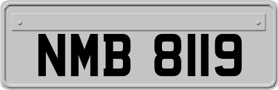 NMB8119