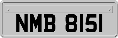 NMB8151