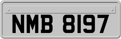 NMB8197