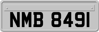 NMB8491