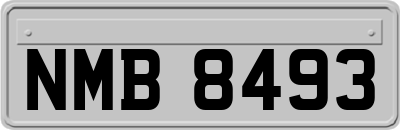 NMB8493