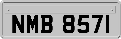 NMB8571