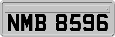 NMB8596