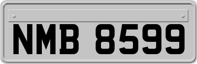 NMB8599