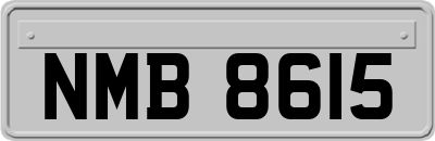 NMB8615