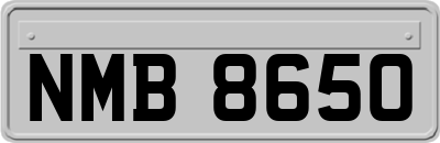 NMB8650