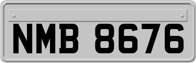 NMB8676