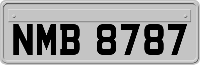 NMB8787