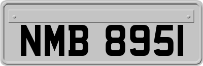 NMB8951
