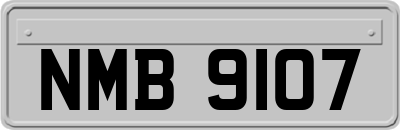 NMB9107